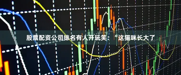 股票配资公司排名有人开玩笑：“这猫咪长大了