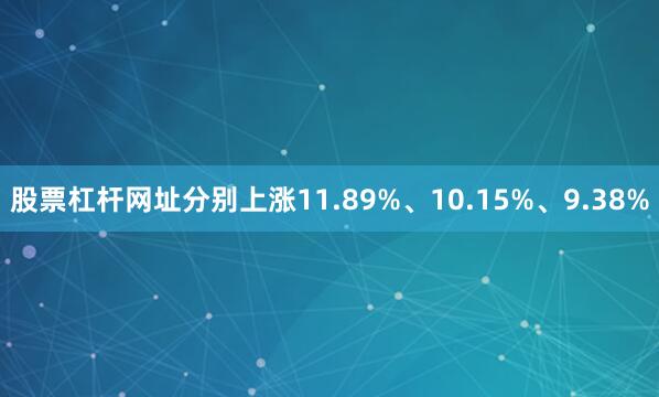 股票杠杆网址分别上涨11.89%、10.15%、9.38%