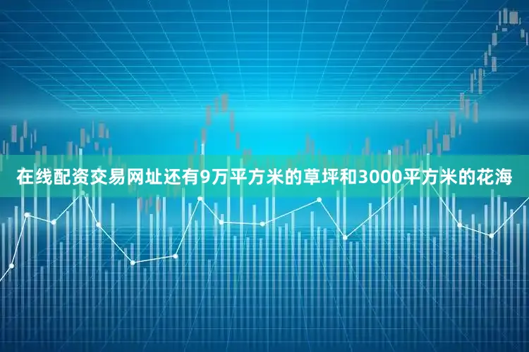 在线配资交易网址还有9万平方米的草坪和3000平方米的花海