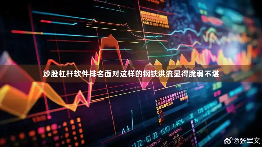 炒股杠杆软件排名面对这样的钢铁洪流显得脆弱不堪