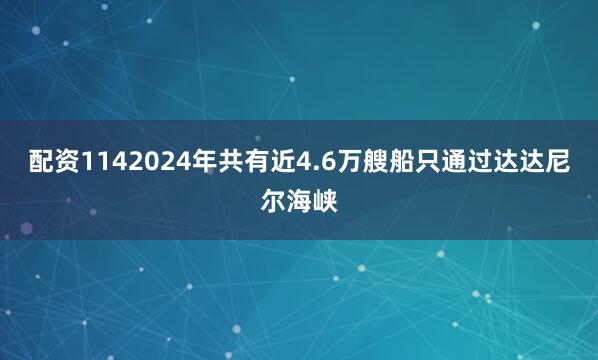 配资1142024年共有近4.6万艘船只通过达达尼尔海峡